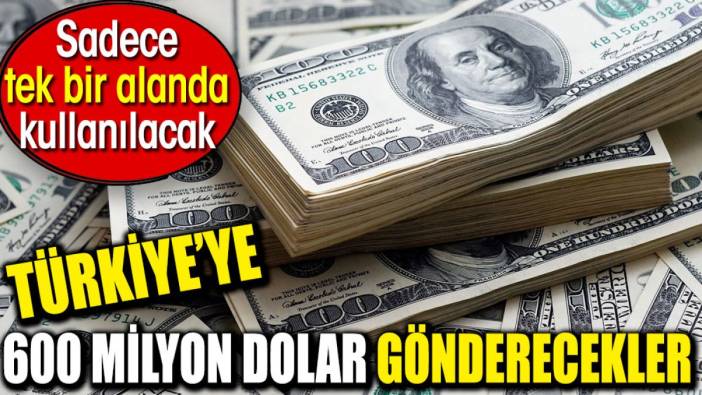 Türkiye’ye 600 milyon dolar gönderecekler. Sadece tek bir alanda kullanılacak