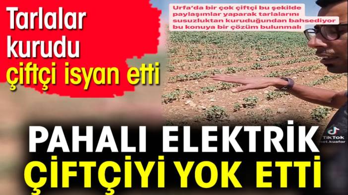 Pahalı elektrik çiftçiyi yok etti. Tarlalar kurudu çiftçi isyan etti