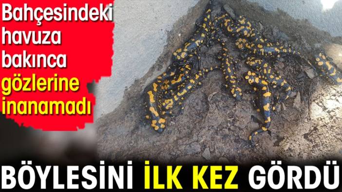 Böylesini ilk kez gördü. Bahçesindeki havuza bakınca gözlerine inanamadı