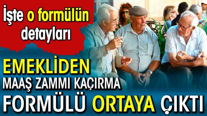 Emekliden maaş zammı kaçırma formülü ortaya çıktı. İşte o formülün detayları