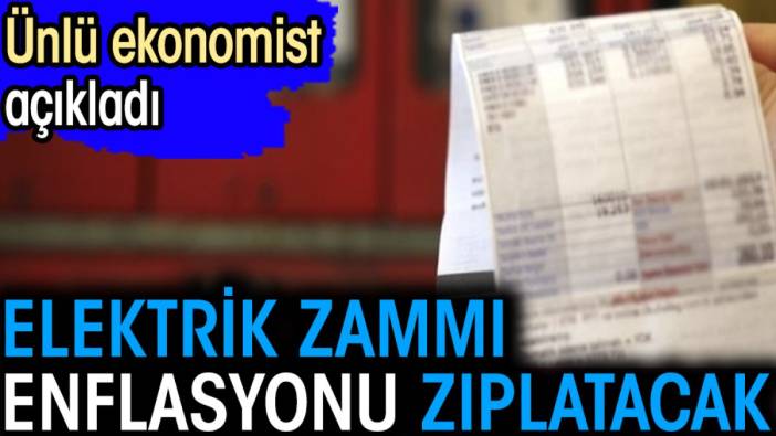 Elektrik zammı enflasyonu zıplatacak. Ünlü ekonomist açıkladı