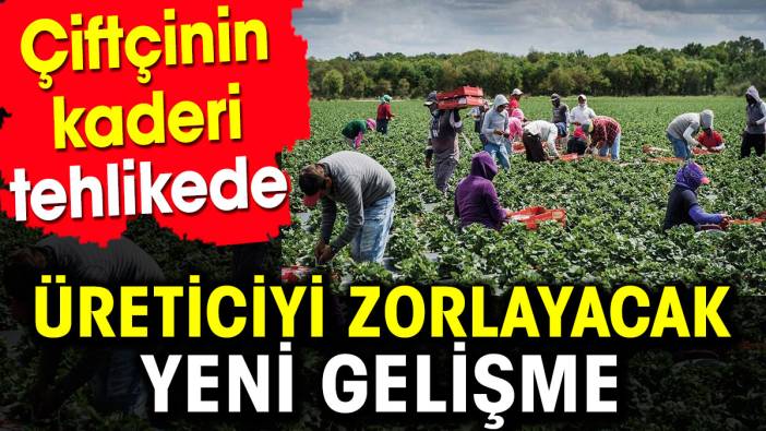 Çiftçinin Kaderi Tehlikede: Üreticiyi Zorlayacak Yeni Gelişme