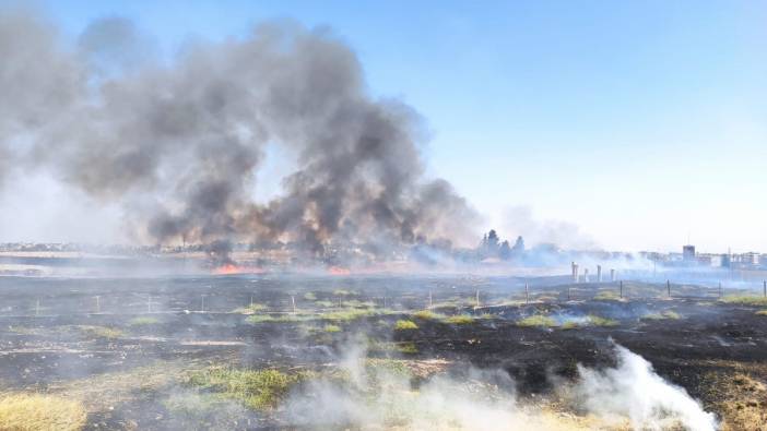 Suriye sınırında, mayınlı bölgede çıkan ot yangını söndürüldü