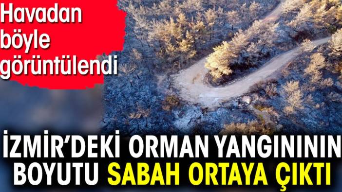 İzmir’deki orman yangınının boyutu sabah ortaya çıktı. Havadan böyle görüntülendi