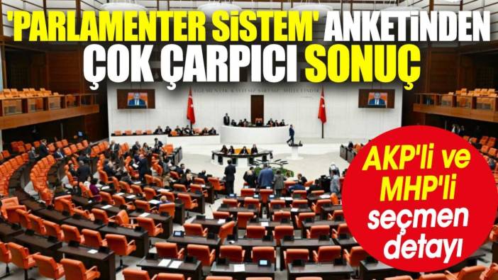 'Parlamenter sistem' anketinden çok çarpıcı sonuç. AKP'li ve MHP'li seçmen detayı