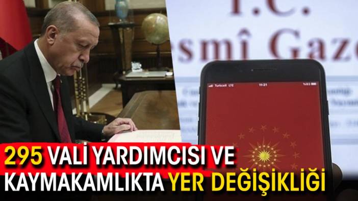 295 Vali yardımcısı ve kaymakamlıkta yer değişikliği