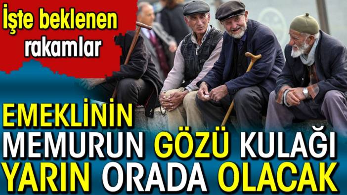 Emeklinin memurun gözu kulağı yarın orada olacak. İşte beklenen rakamlar