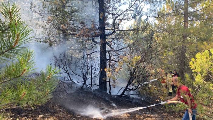 Kütahya'daki orman yangını söndürüldü