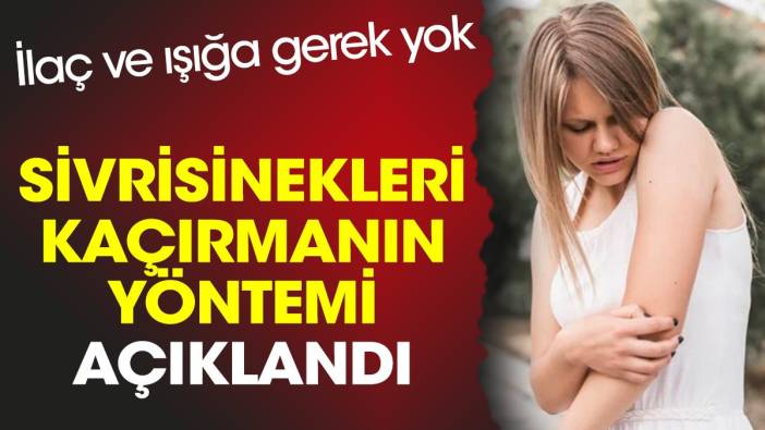 Sivrisinekleri kaçırmanın yöntemi açıklandı. İlaç ve ışığa gerek yok