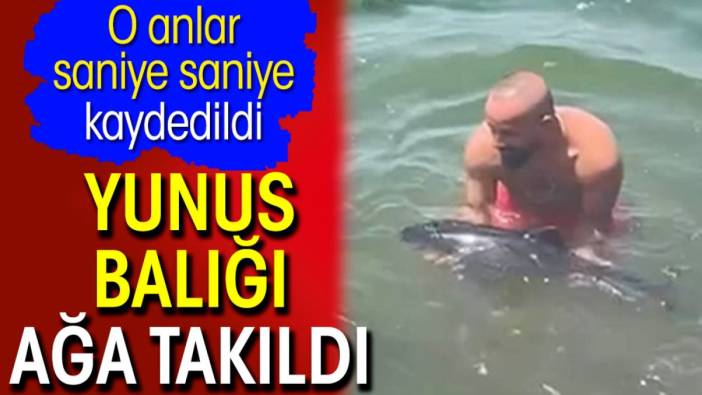 Yunus balığı balıkçıların ağına takıldı. O anlar saniye saniye kaydedildi