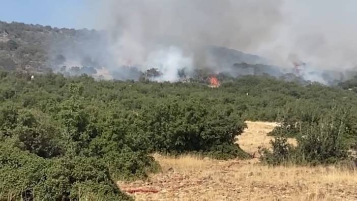 Kahramanmaraş'taki orman yangını kontrol altına alındı