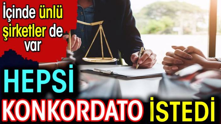 Hepsi Konkordato istedi. İçinde ünlü şirketlerde var