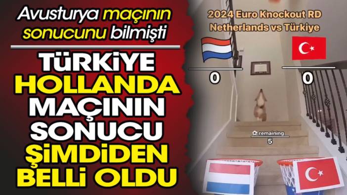 Türkiye Hollanda maçının sonucu şimdiden belli oldu. Avusturya maçını bilen kahin köpek Furry seçimini yaptı