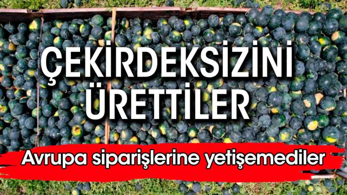 Çekirdeksizini ürettiler. Avrupa'da kapış kapış gidiyor