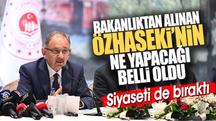 Bakanlıktan alınan Mehmet Özhaseki’nin ne yapacağı belli oldu. Siyaseti de bıraktı