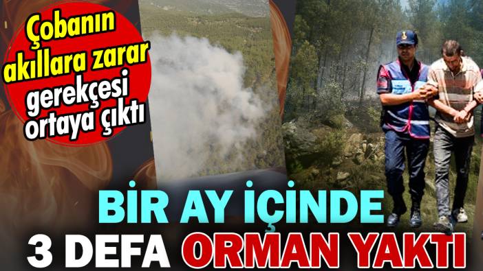 Bir defa içinde 3 ay orman yaktı. Akıllara zarar sebebi ortaya çıktı