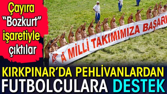 Kırkpınar'da pehlivanlardan Milli Takıma destek. Çayıra 'bozkurt' işaretiyle çıktılar