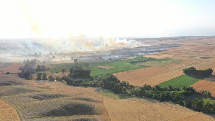 1000 dekar buğday tarlası kül oldu