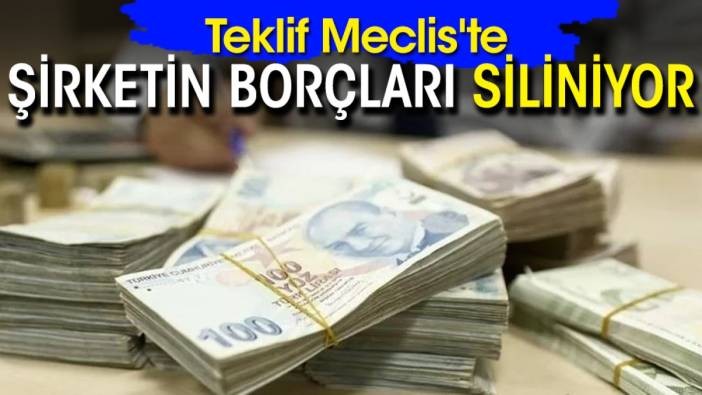 Teklif Meclis'te: Şirketin borçları siliniyor