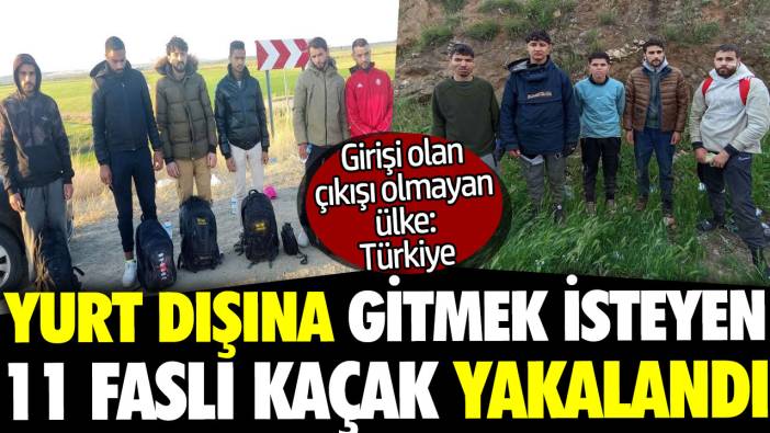 Yurt dışına kaçmak isteyen 11 Faslı kaçak yakalandı. Girişi olan çıkışı olmayan ülke: Türkiye