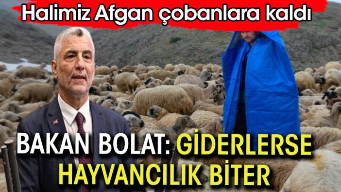 Ticaret Bakanı Bolat: Afganlar giderse hayvancılık biter