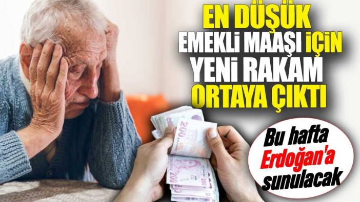 En düşük emekli maaşı için yeni rakam ortaya çıktı. Bu hafta Erdoğan'a sunulacak