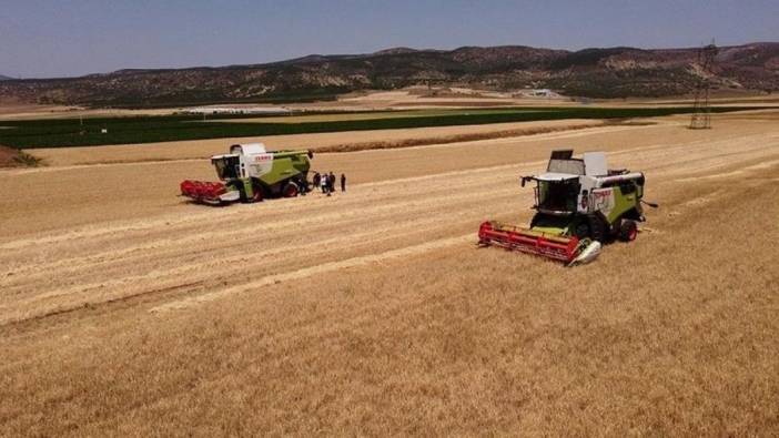 TMO ‘dan buğday ve arpa alımı