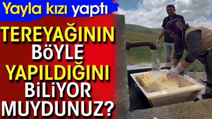 Tereyağının böyle yapıldığını biliyor muydunuz? Yayla kızı yaptı