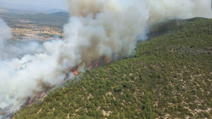 Bodrum'da korkutan orman yangını