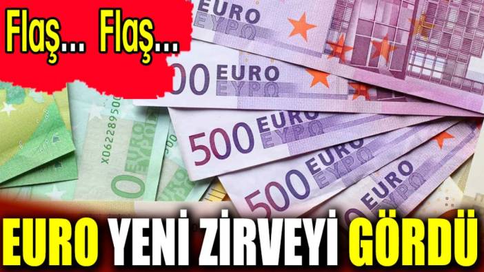 Euro yeni zirveyi gördü