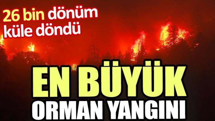 En büyük orman yangını: 26 bin dönümden fazla kayıp