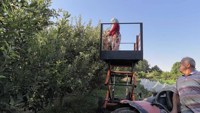 3 yıl boyunca tasarladı. Hasat süresini yüzde 40 azalttı