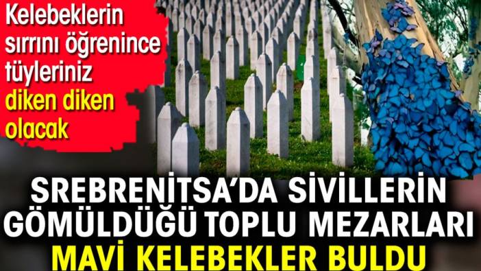 Srebrenitsa’da sivillerin gömüldüğü toplu mezarları mavi kelebekler buldu