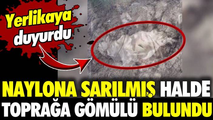 Şırnak’ta naylona sarılmış halde toprağa gömülü bulundu! Yerlikaya duyurdu