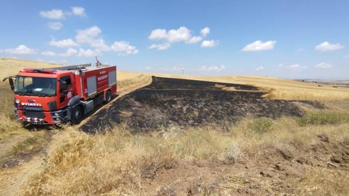 Çorum’da 15 hektar ekili arazi yangında kül oldu