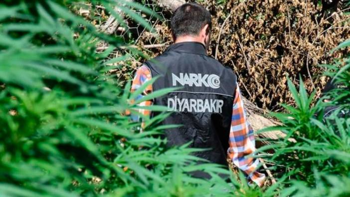 Diyarbakır'da narkoterör operasyonu. Binlercesi ele geçirildi