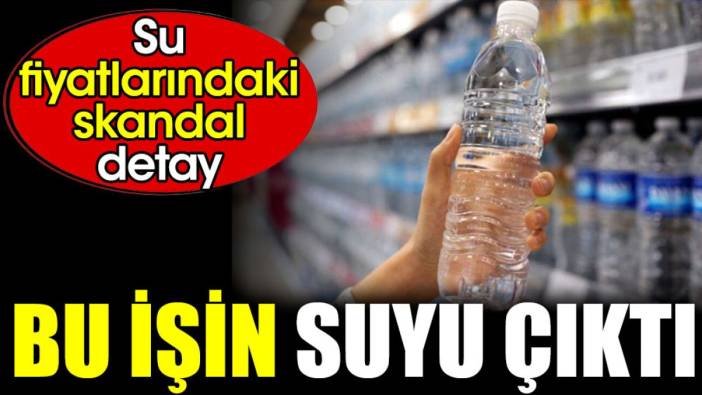 Bu işin suyu çıktı. Su fiyatlarındaki skandal detay