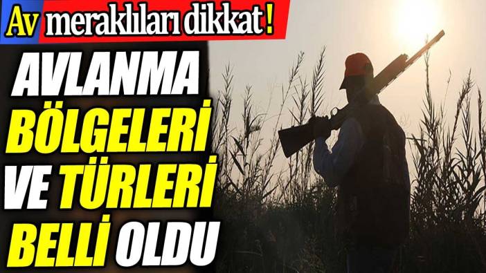 Av meraklıları dikkat! Avlanma bölgeleri ve türleri belli oldu