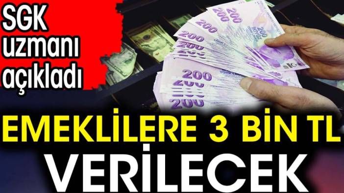 Emeklilere 3 bin TL verilecek. SGK uzmanı açıkladı