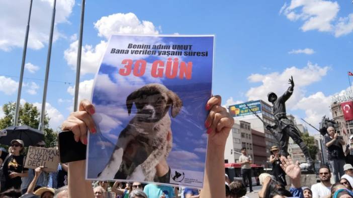 Ankara'da Sokak Hayvanlarına Ötanaziye Hayır Eylemi yapıldı
