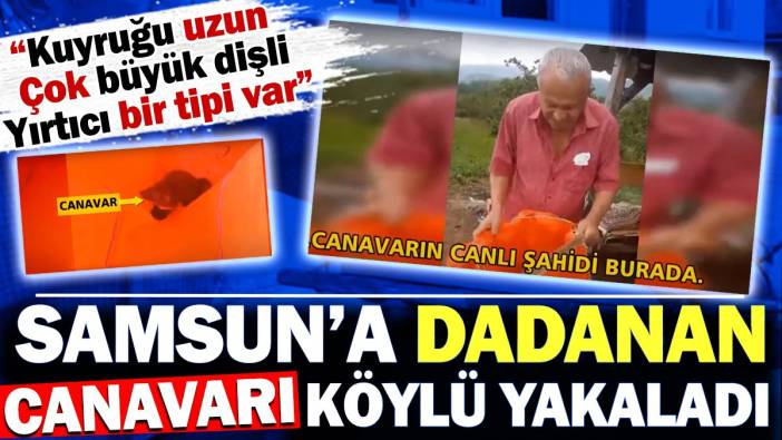 Samsun'a dadanan canavarı köylü yakaladı. 'Kuyruğu uzun, çok büyük dişli, yırtıcı bir tipi var'