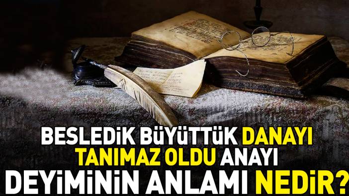 Besledik büyüttük danayı tanımaz oldu anayı deyimi ne anlama geliyor?