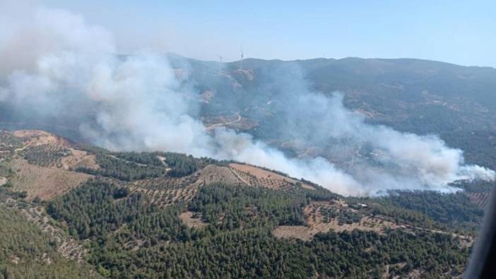 Hatay'da orman yangını