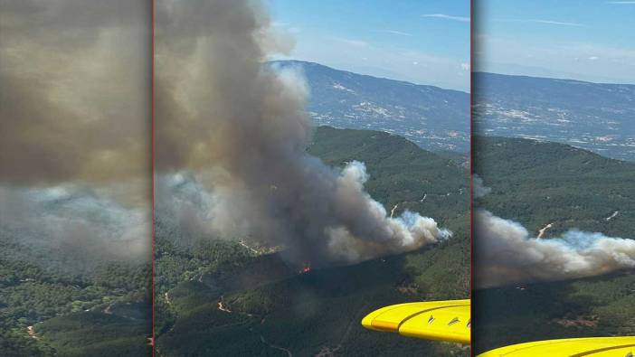 Bergama'da ormanlık alanda yangın