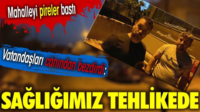 Mahalleyi pireler bastı... Vatandaşları canından bezdirdi: Sağlığımız tehlikede