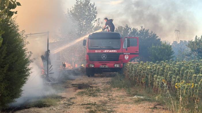 Kırklareli'nde yangın. 2 yavru köpek öldü