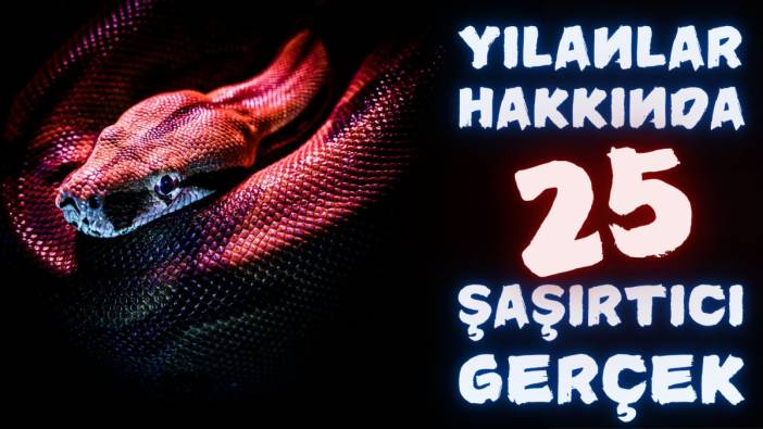 Yılanlar hakkında 25 şaşırtıcı gerçek