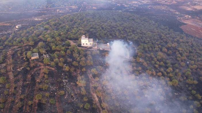 Adıyaman'daki orman yangını söndürüldü