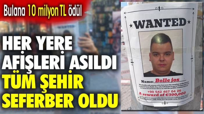 Her yere afişleri asıldı, tüm şehir seferber oldu. Bulana 10 milyon TL ödül