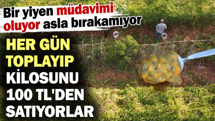 Bir yiyen müdavimi oluyor asla bırakamıyor! Kilosunu 100 TL'den satıyorlar